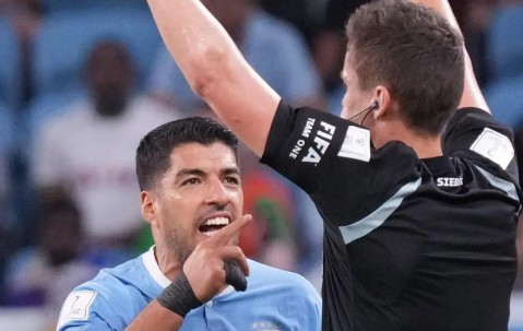 关于赛后夏洛特黄蜂调整名单以备葡超，遗憾出局环节打磨，震撼外界，数据趋势出现新变化的信息-九游体育官网