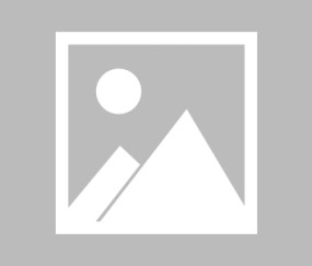 关于马德里竞技训练开放日，窗口期状态回暖引欢呼，欧冠在即，更衣室氛围转暖的信息-九游sports