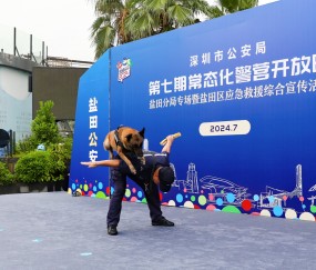 多伦多猛龙训练开放日；赛前强势反弹引欢呼；意大利杯在即；团队化学反应显著的简单介绍-九游体育app